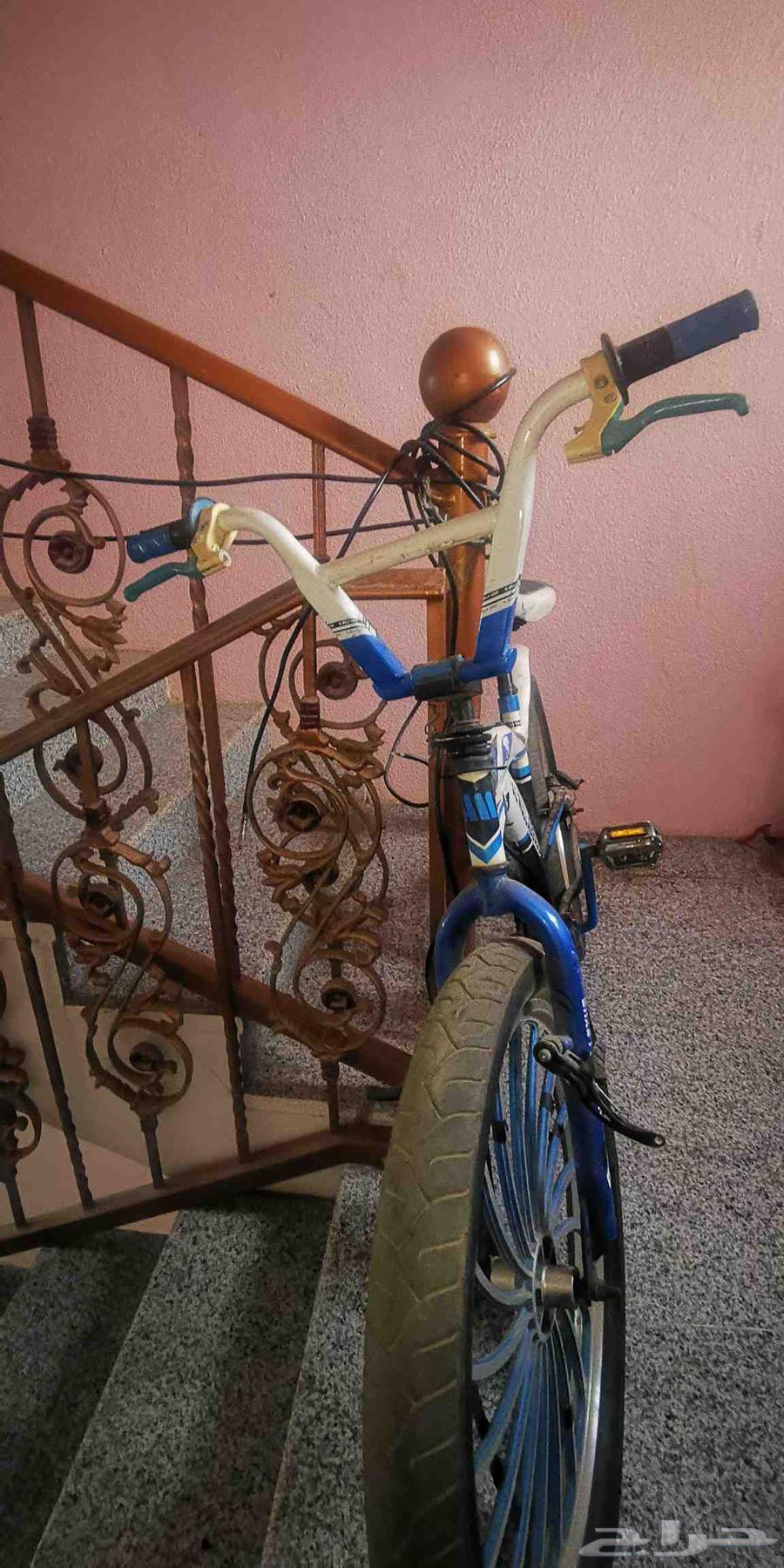BMX Bicycle AL Malla Lyx (Large)64568454115587111
