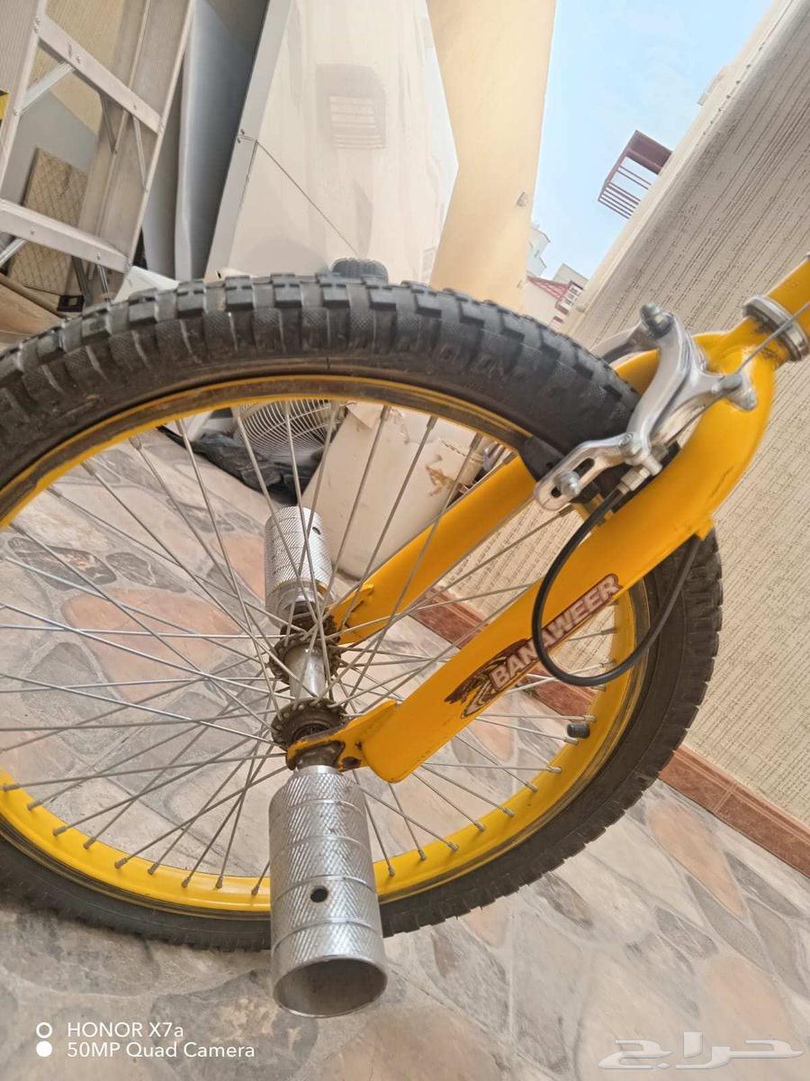 Sikl Cobra Sha2an Jadid64569384797825111