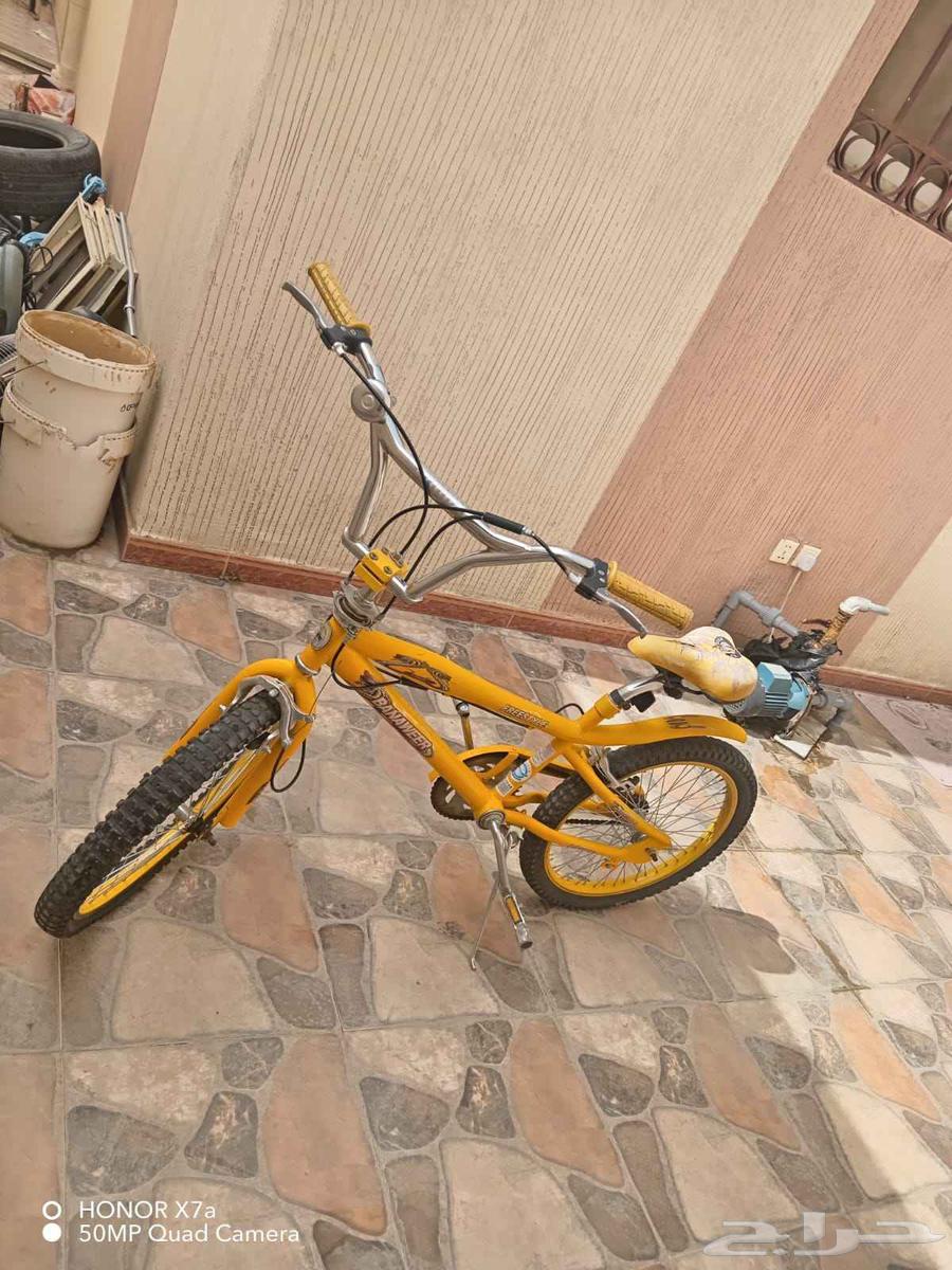 Sikl Cobra Sha2an Jadid64569384797825112