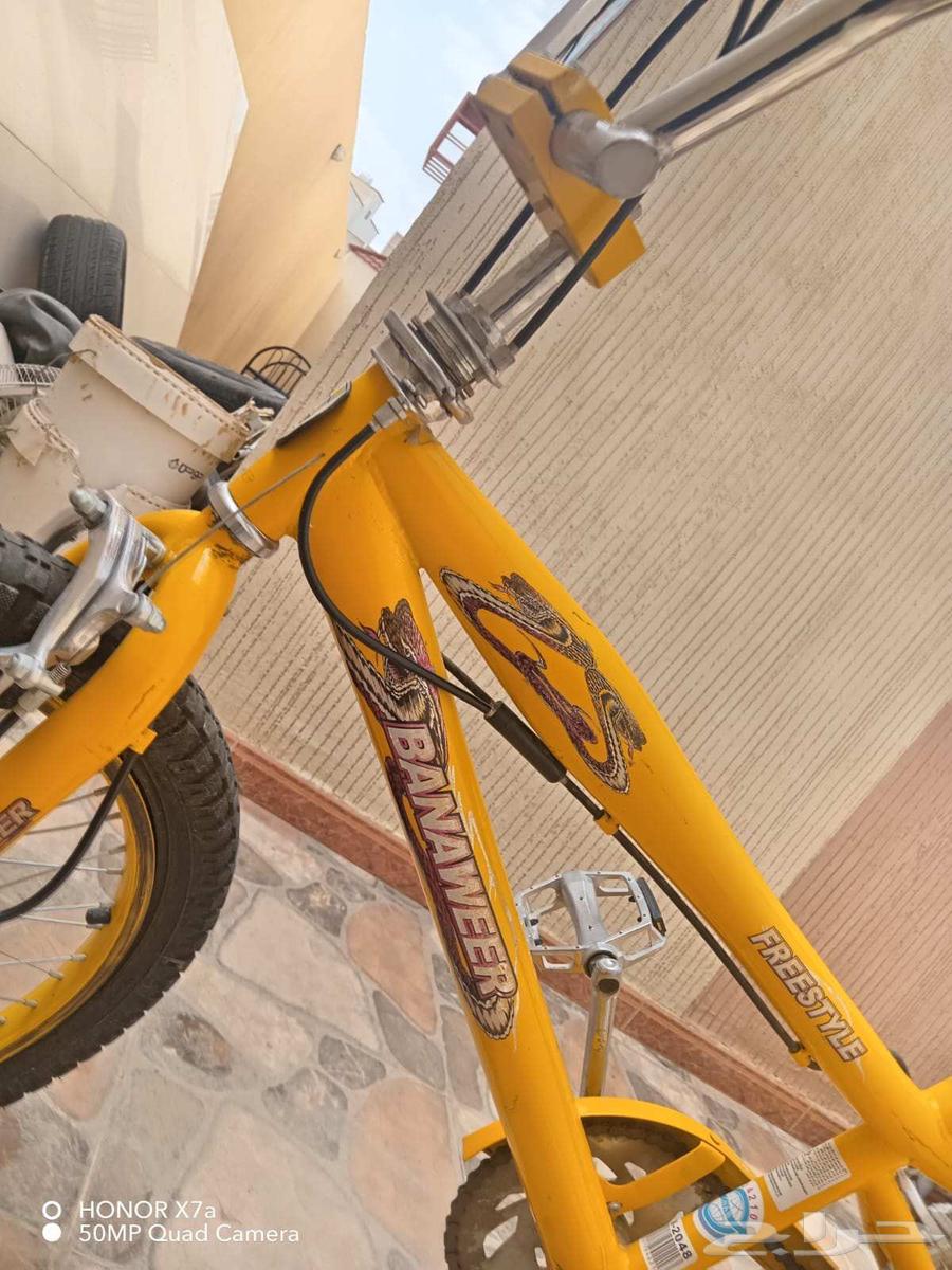 Sikl Cobra Sha2an Jadid64569384797825110