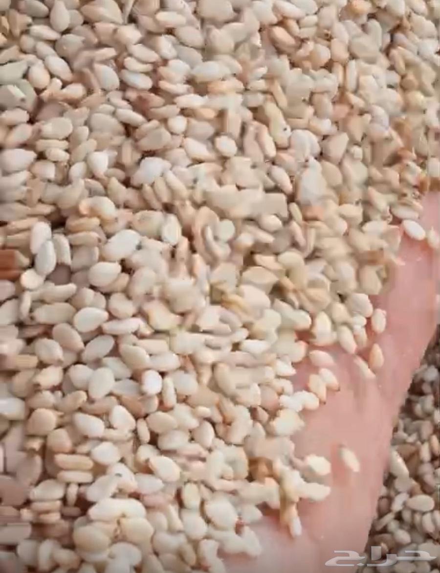 White sesame64567849973507112