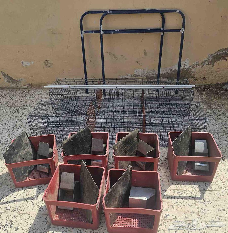 بطارية ارانب 6 عيون64571120446466111