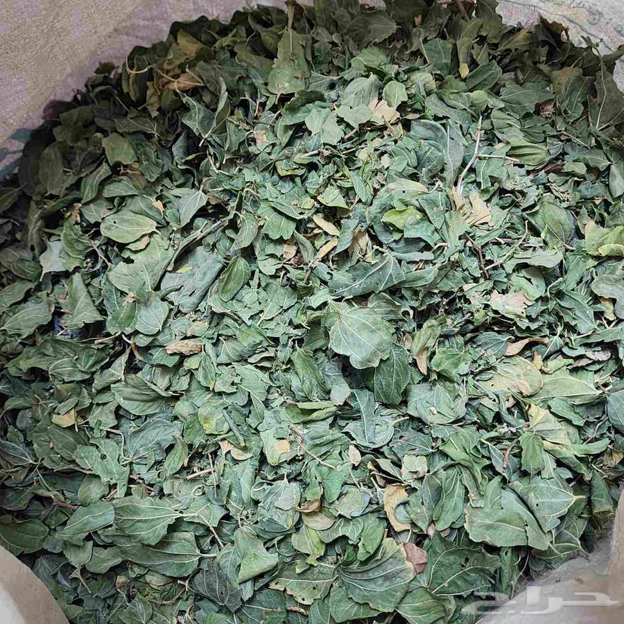 Natural Ground Sidr Without Additives64564129650946113