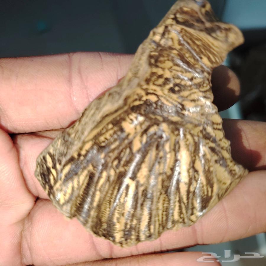 كلمنتان طبيعي محسن بيوور اي بي سوبر درجه اولى( العود الازرق)64566921008259110