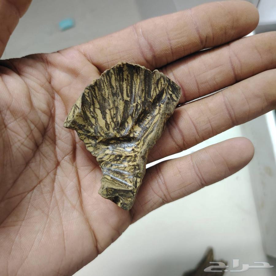 كلمنتان طبيعي محسن بيوور اي بي سوبر درجه اولى( العود الازرق)64566921008259112