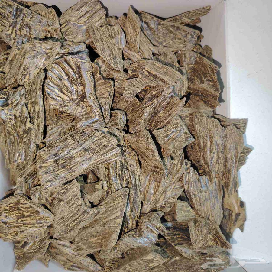 كلمنتان طبيعي محسن بيوور اي بي سوبر درجه اولى( العود الازرق)64566921008259111