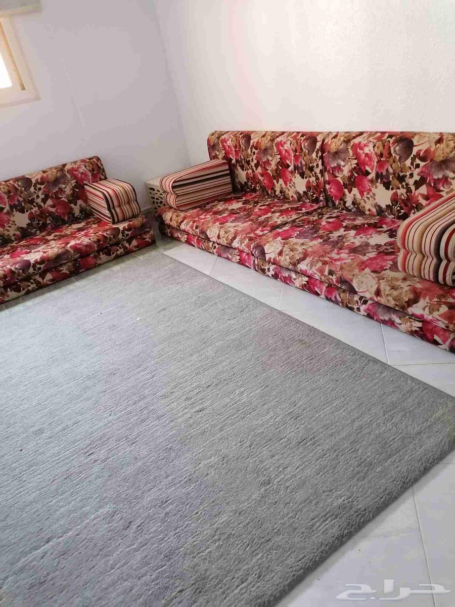 باطرمه 4قطع محمود سعيد لايوجد فيها عيوب بسعر رمزي جدددا64567087504130110