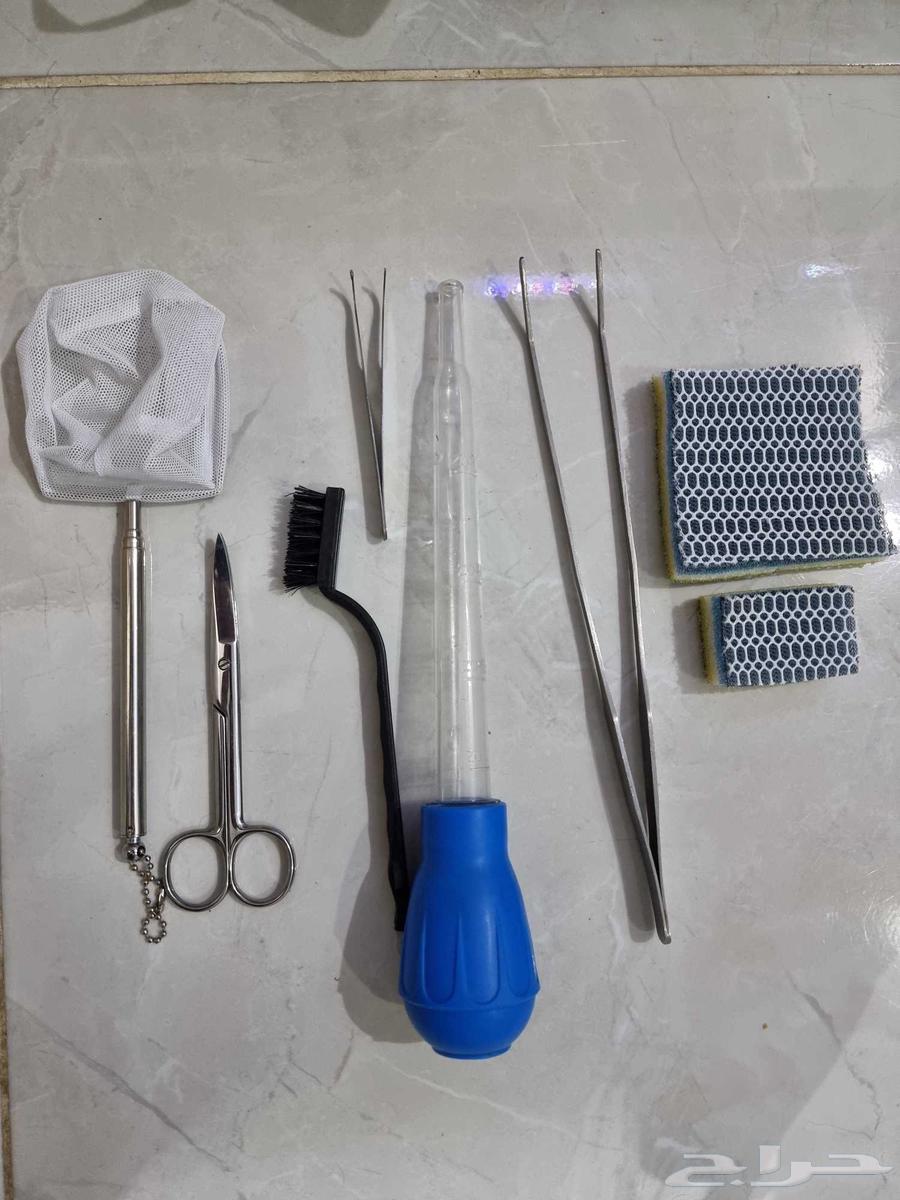 حوض مزروع كامل وجاهز شريمب   نيون   حلزون   ملحقات64570217223425111