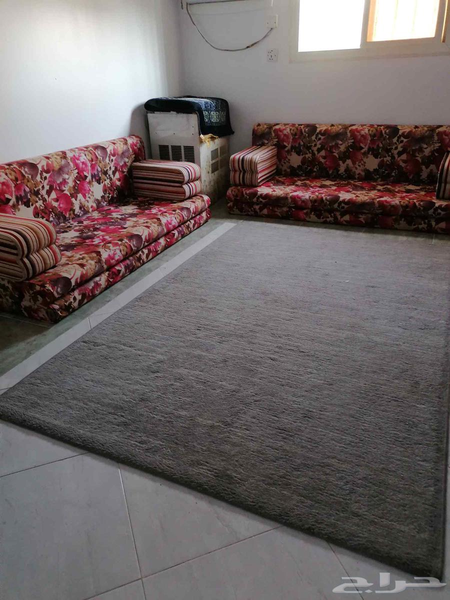 باطرمه 4قطع محمود سعيد لايوجد فيها عيوب بسعر رمزي جدددا64567087504130111