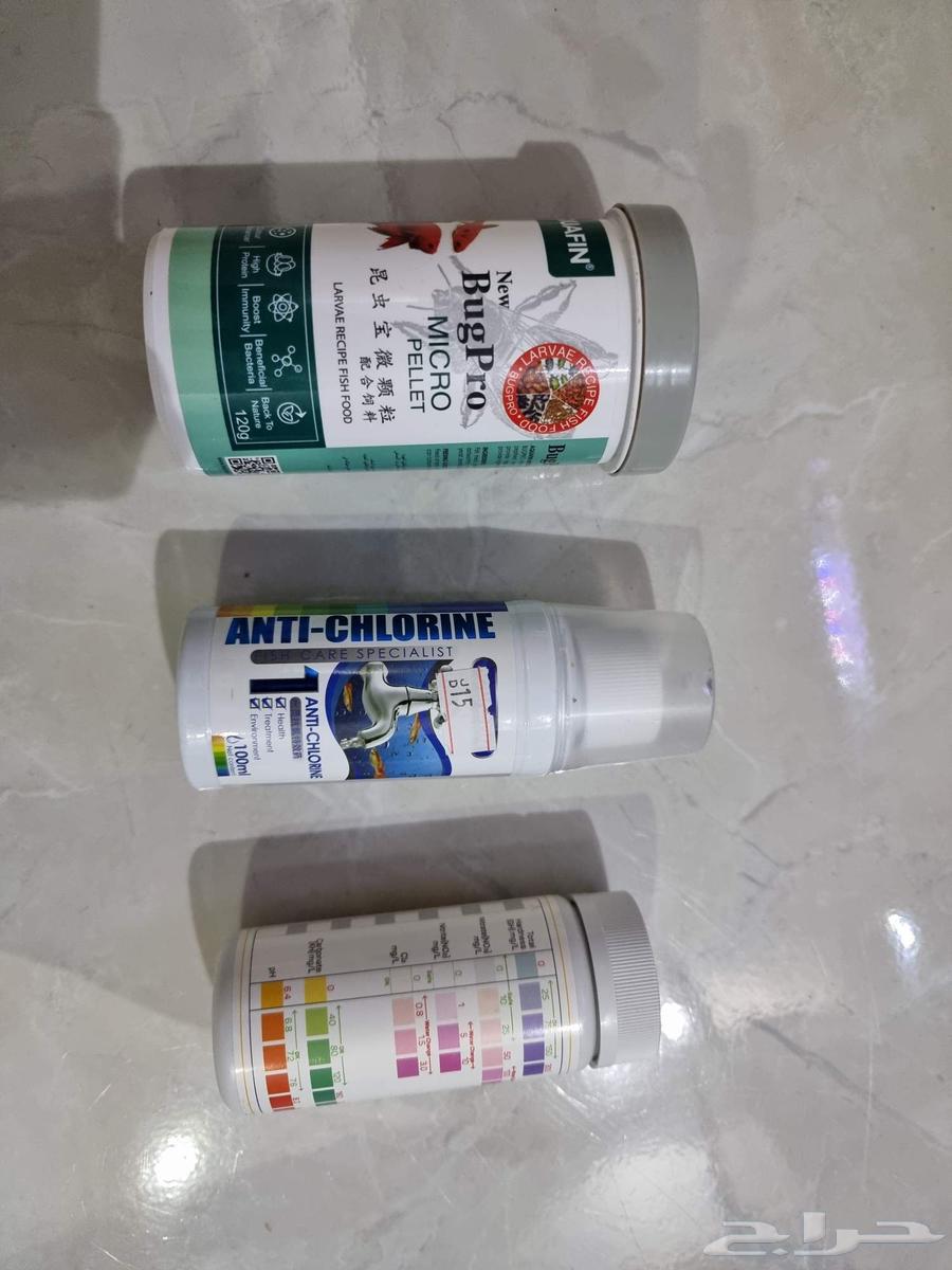 حوض مزروع كامل وجاهز شريمب   نيون   حلزون   ملحقات64570217223425110