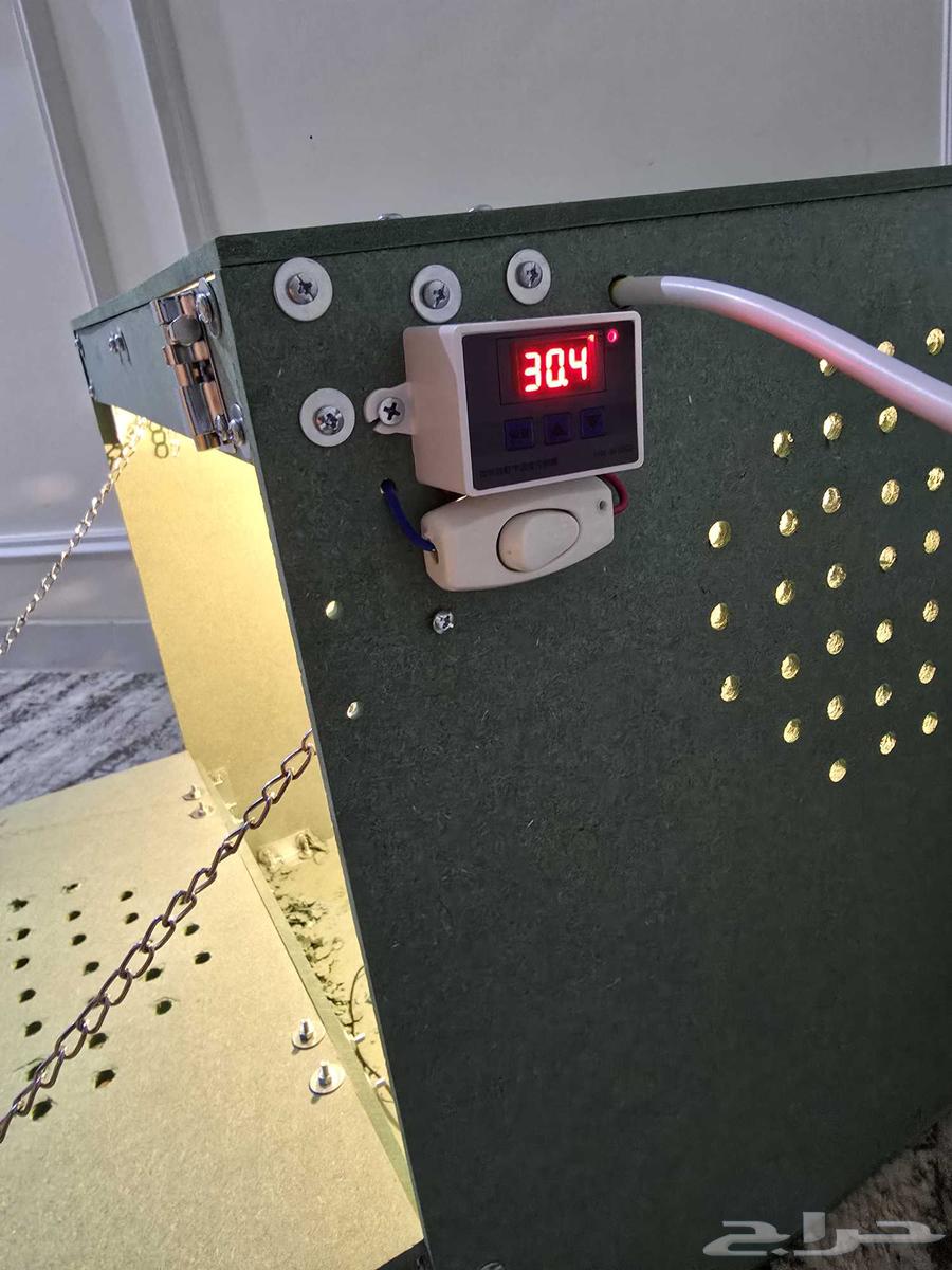 حضانة فروخ كنيور روز كروان كاسكو وغيرها تماتيك64568237118338110