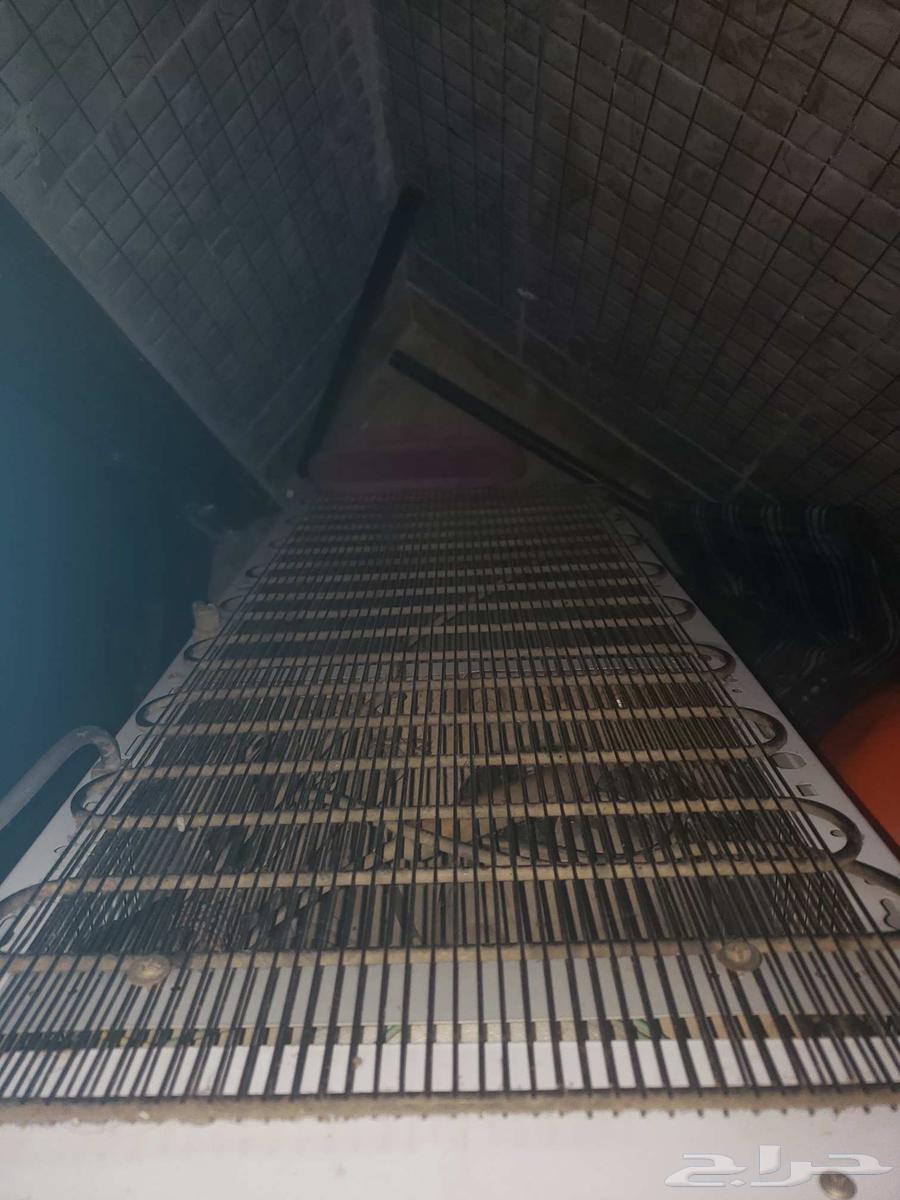 Refrigerator has a defect, last thing was Freon smuggling64570217239809113