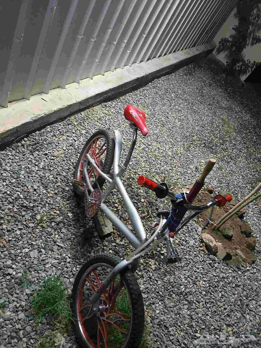 سيكل جديد وكاله السعر 350 من دون البوري مع البوري 43064569426681859113