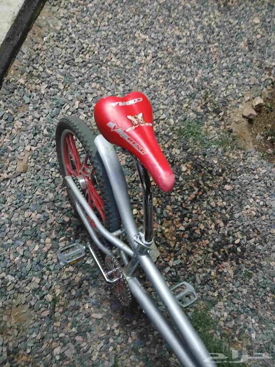 سيكل جديد وكاله السعر 350 من دون البوري مع البوري 43064569426681859112