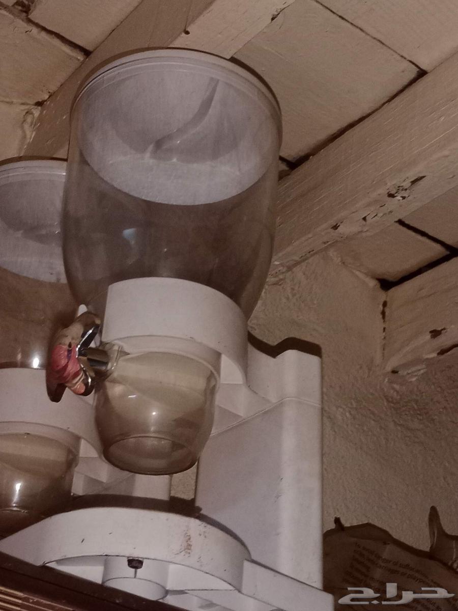 قطعتين ب 80 ريال64566022715905111