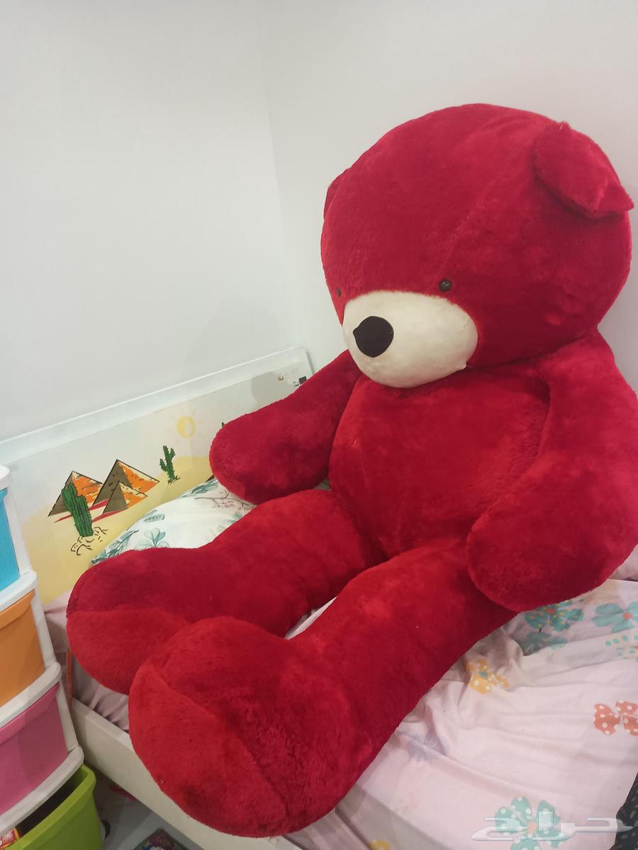 دبدوب أحمر مقاس كبير جدا64569671367299110