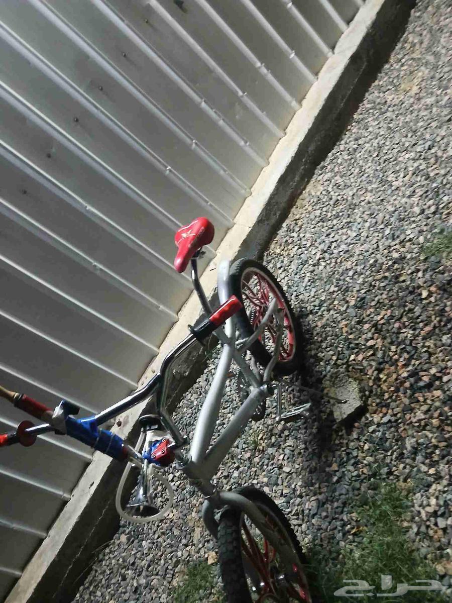 سيكل جديد وكاله السعر 350 من دون البوري مع البوري 43064569426681859114