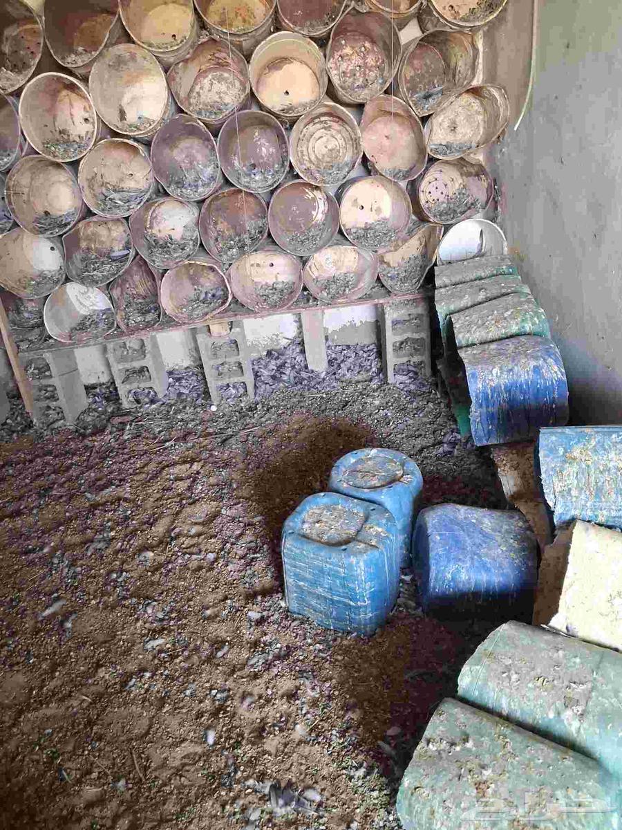 سطول بويه 1.5ريال64567448047491111