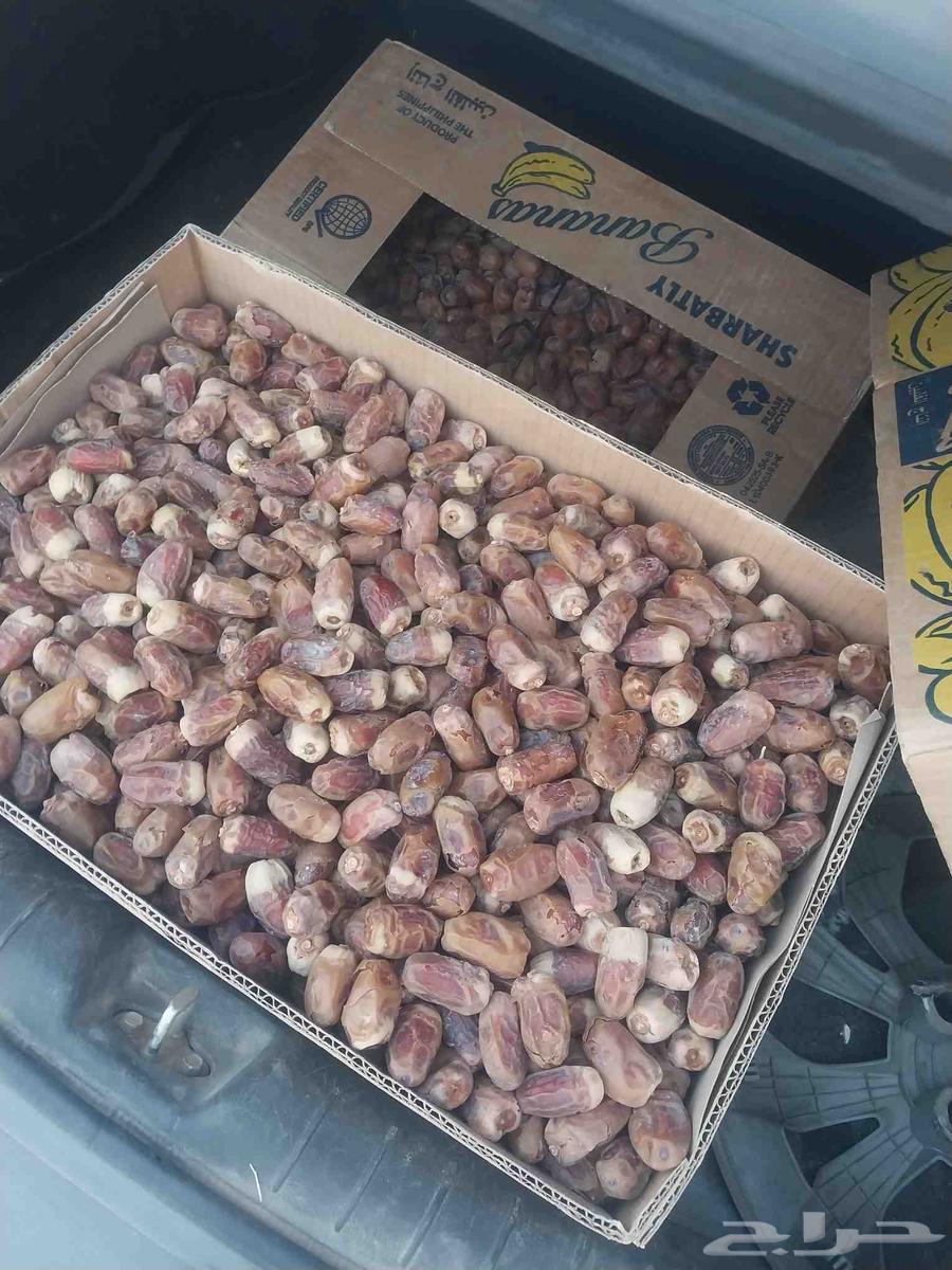 باقي 6كراتين صقعي وخلاص64568331131522110