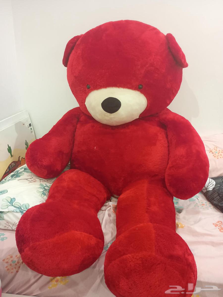 دبدوب أحمر مقاس كبير جدا64569671367299111