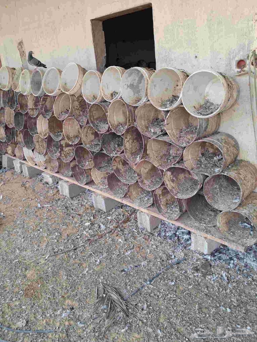 سطول بويه 1.5ريال64567448047491110