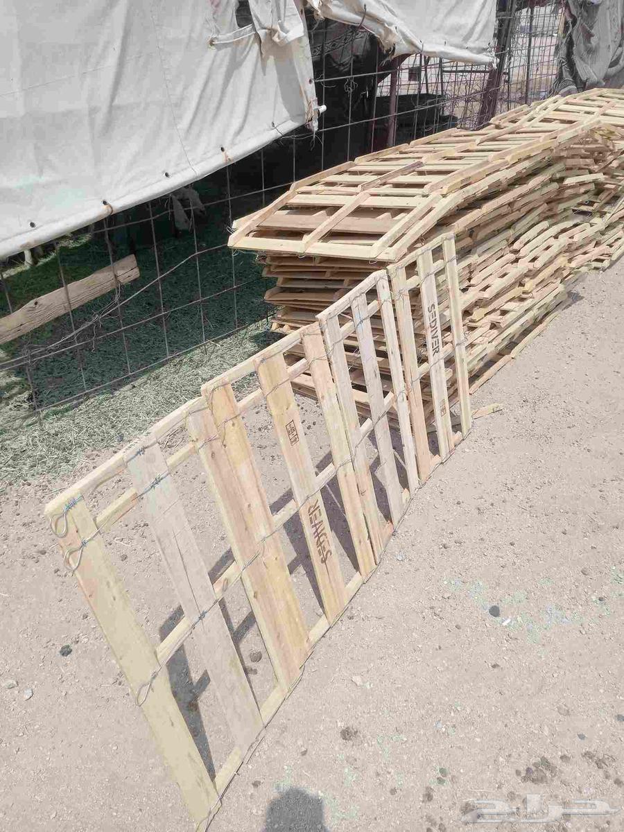 طبليات خشب64565465445506111