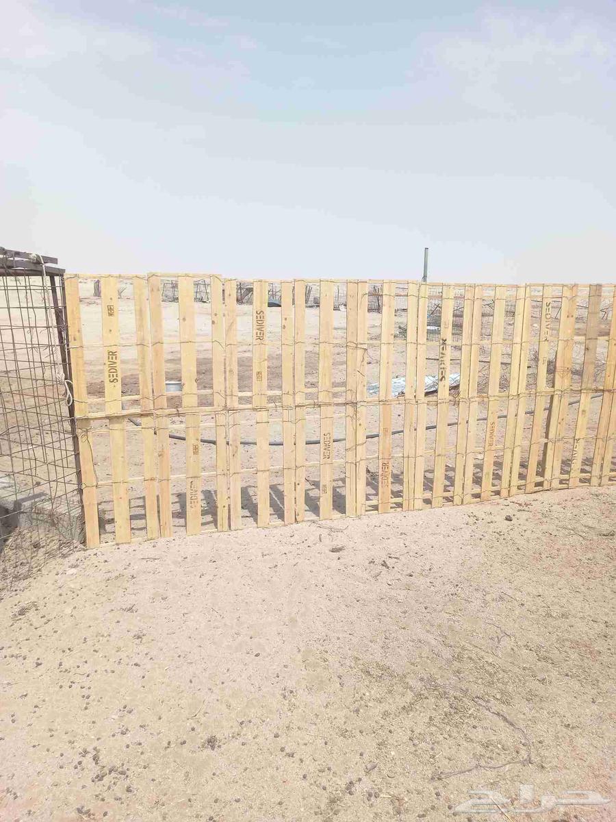 طبليات خشب64565465445506110