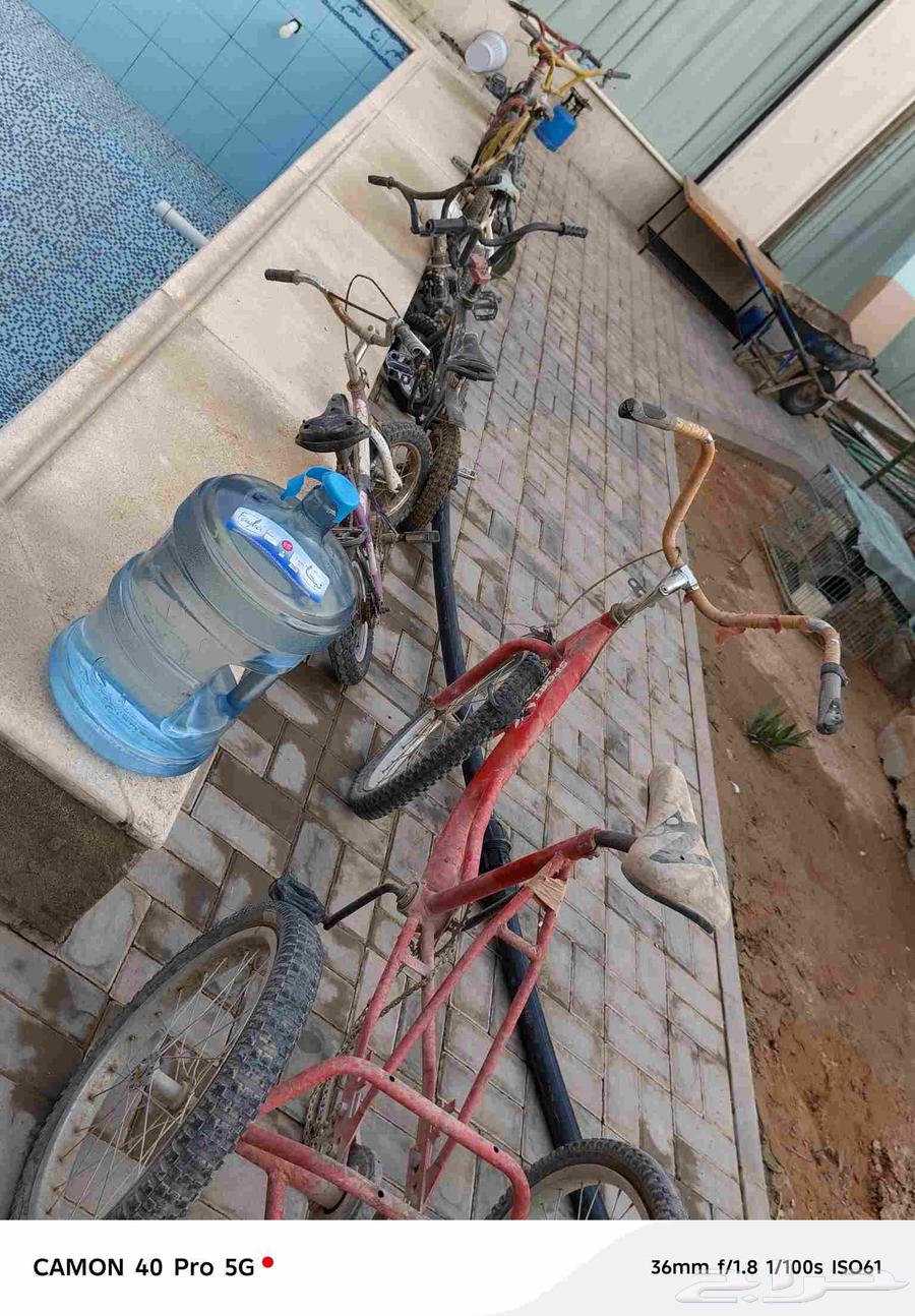 سيكال للبيع64568209620867114