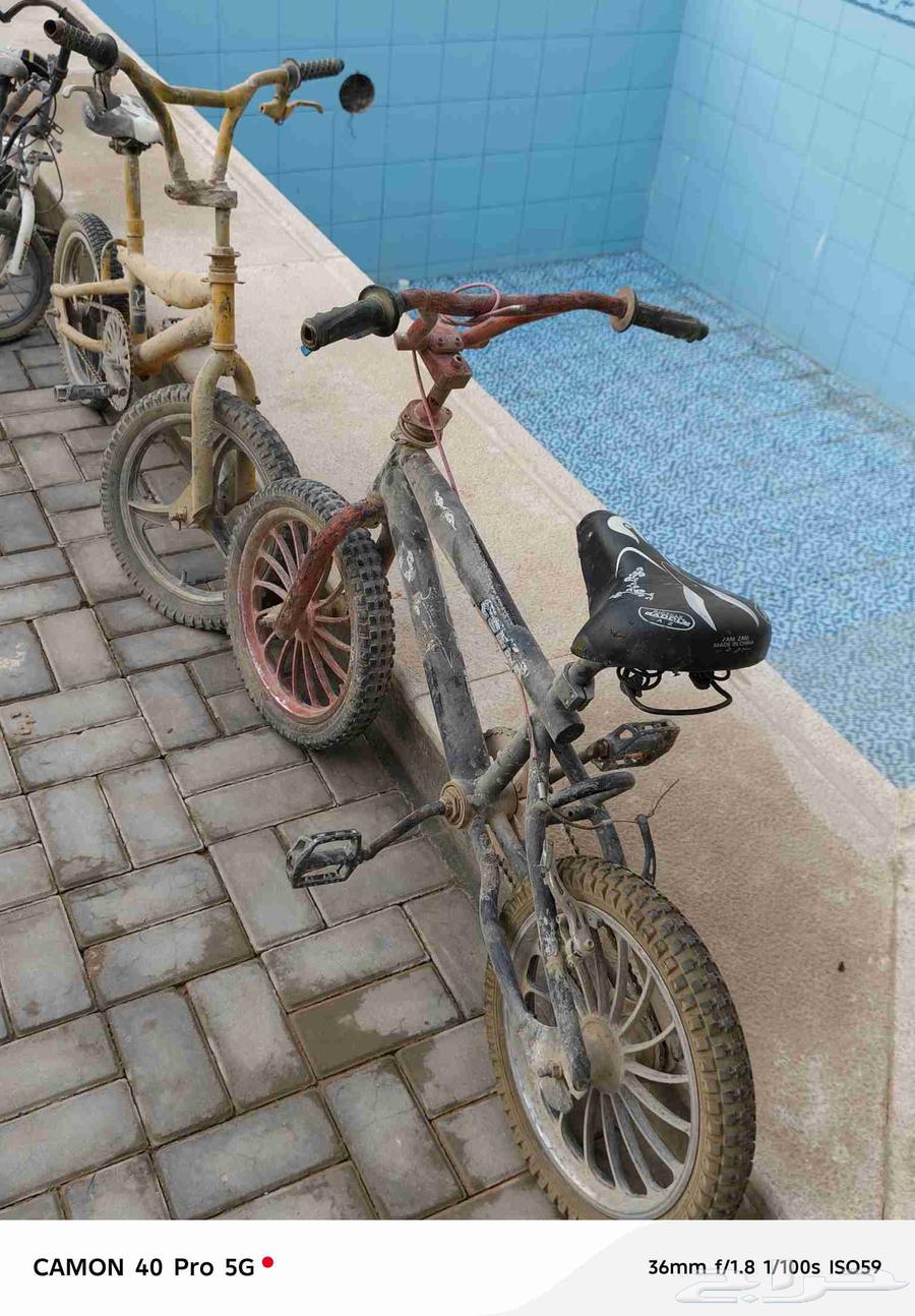 سيكال للبيع64568209620867110