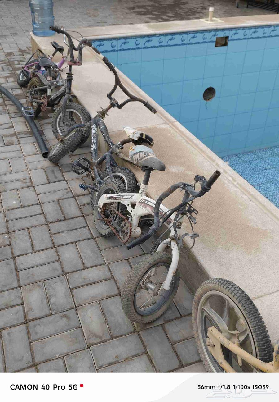 سيكال للبيع64568209620867111