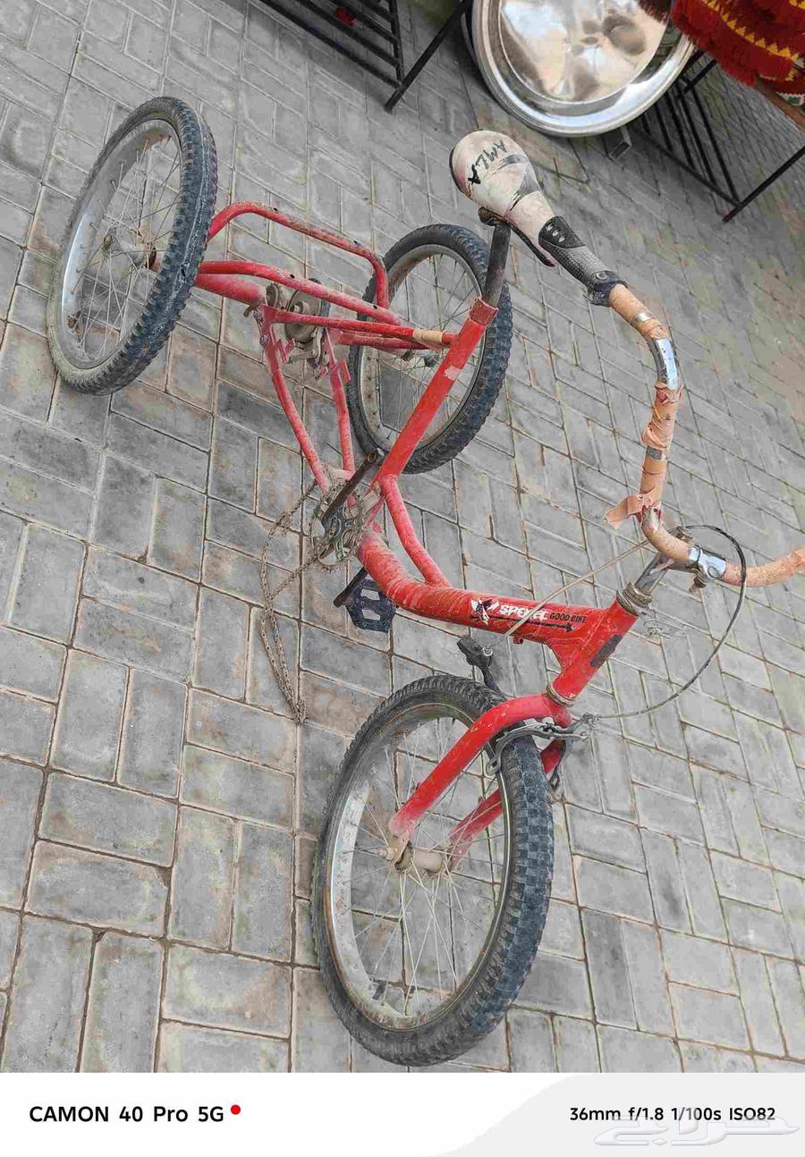 سيكال للبيع64568209620867113