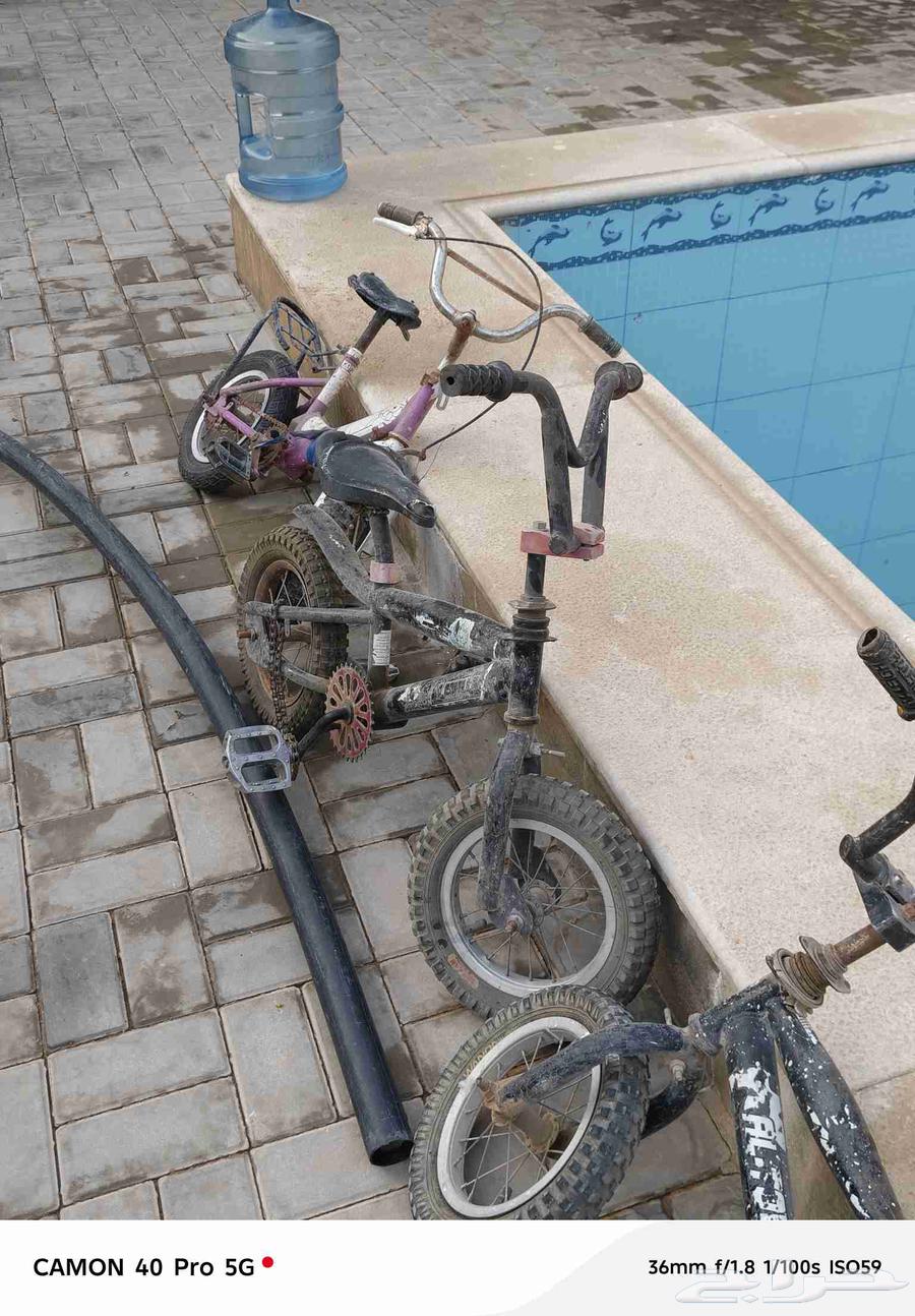 سيكال للبيع64568209620867112