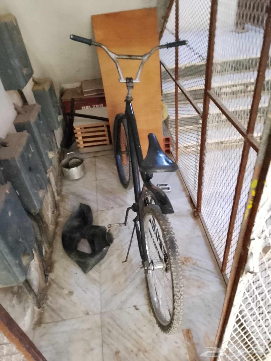 دراجه كوبرا مقاس 2464570942308866112