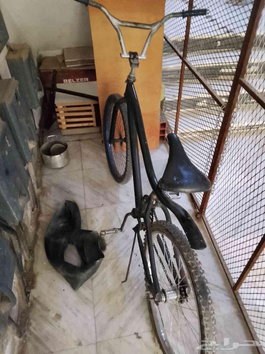 دراجه كوبرا مقاس 2464570942308866111