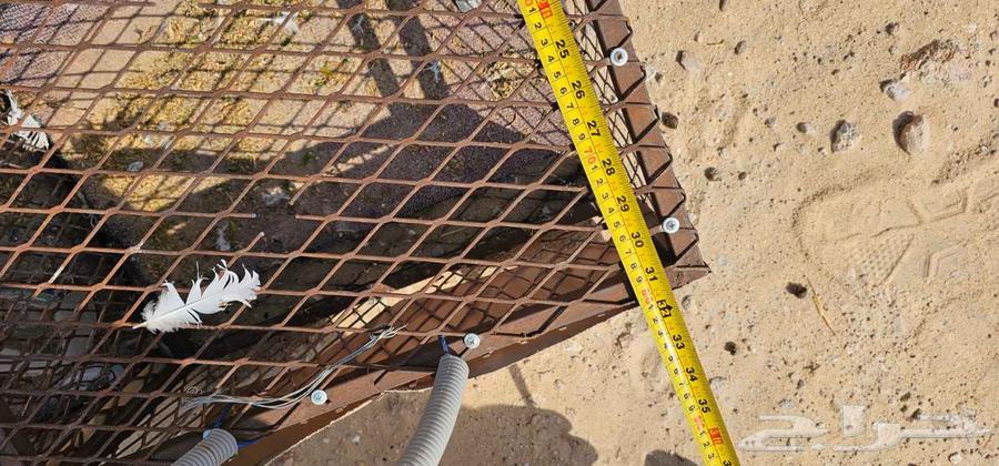 قفصين حمام   دجاج64565158515458113