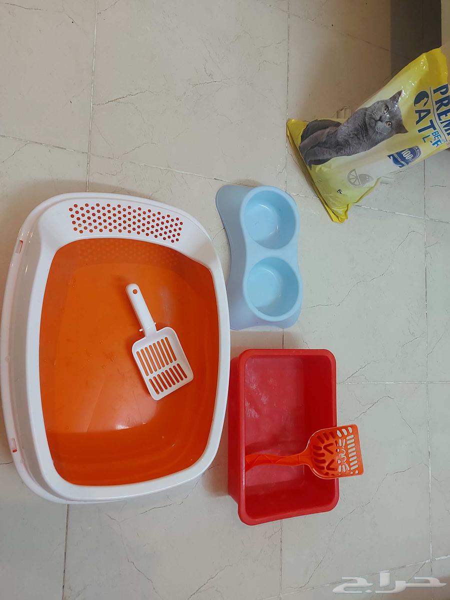 Cat supplies at a symbolic price64564019383810110