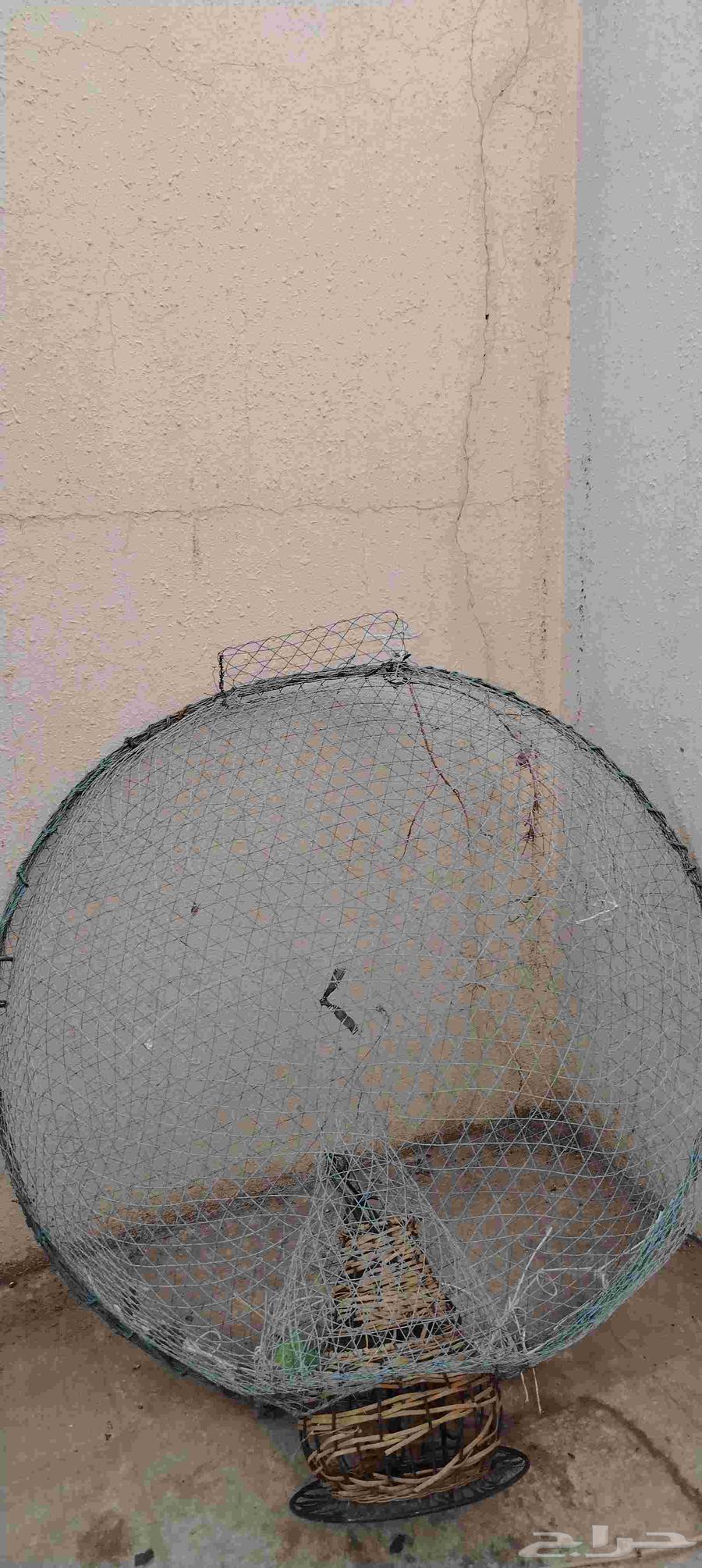 صخوه بحر للبيع64568222960899111