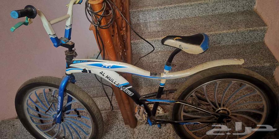 BMX Bicycle AL Malla Lyx (Large)64568454115587110