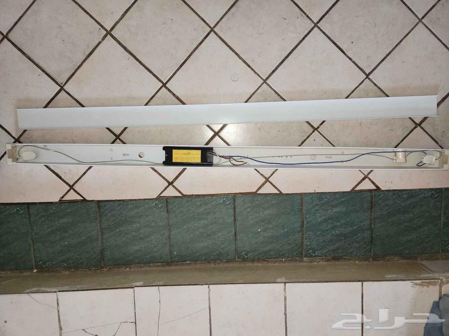 كشاف كهربائي واضوية نيون للبيع64477185561729113