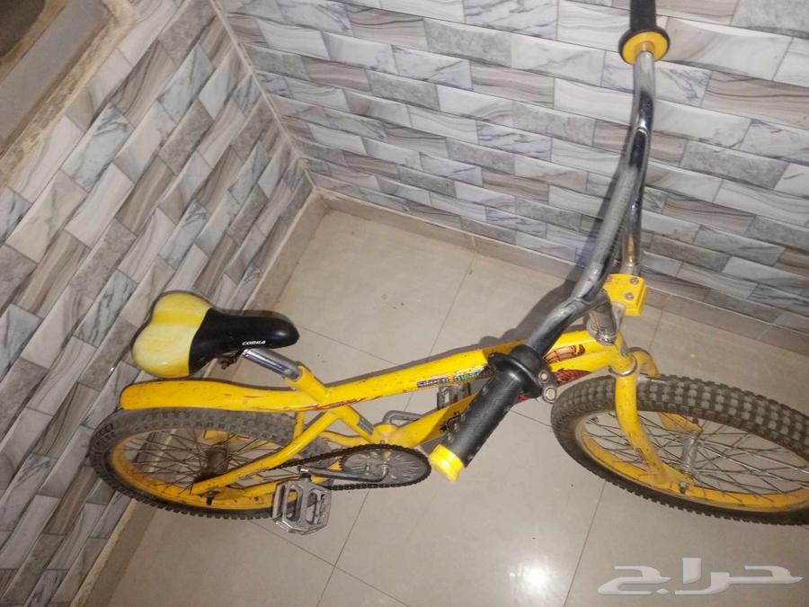 كوبرا مقاس2064571423272322111