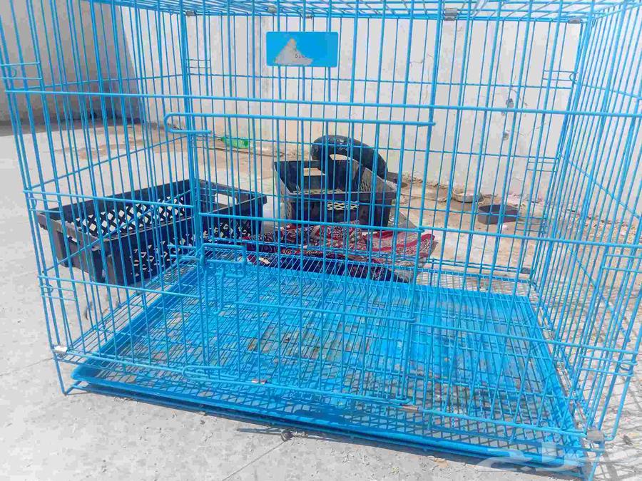Large, clean cat cage, no flaws, reason for sale is moving64566837944834112