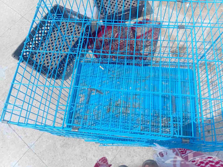 Large, clean cat cage, no flaws, reason for sale is moving64566837944834110