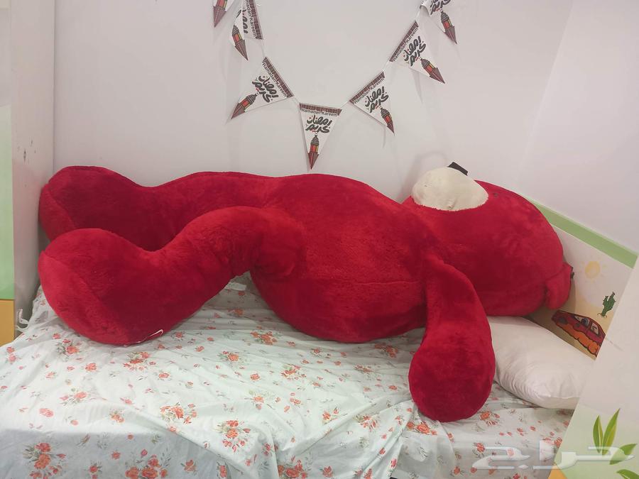 دبدوب أحمر مقاس كبير جدا64569671367299112