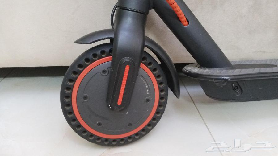 Rally Scooter64570435506562114