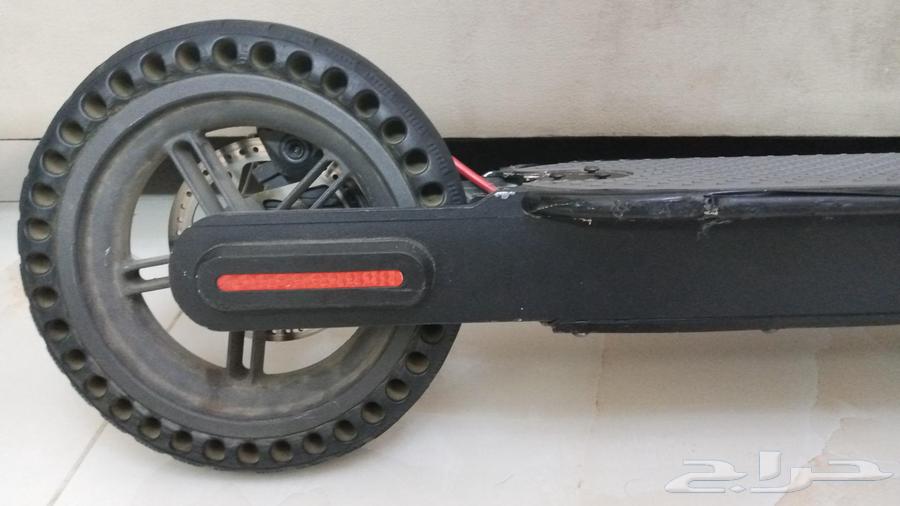 Rally Scooter64570435506562113