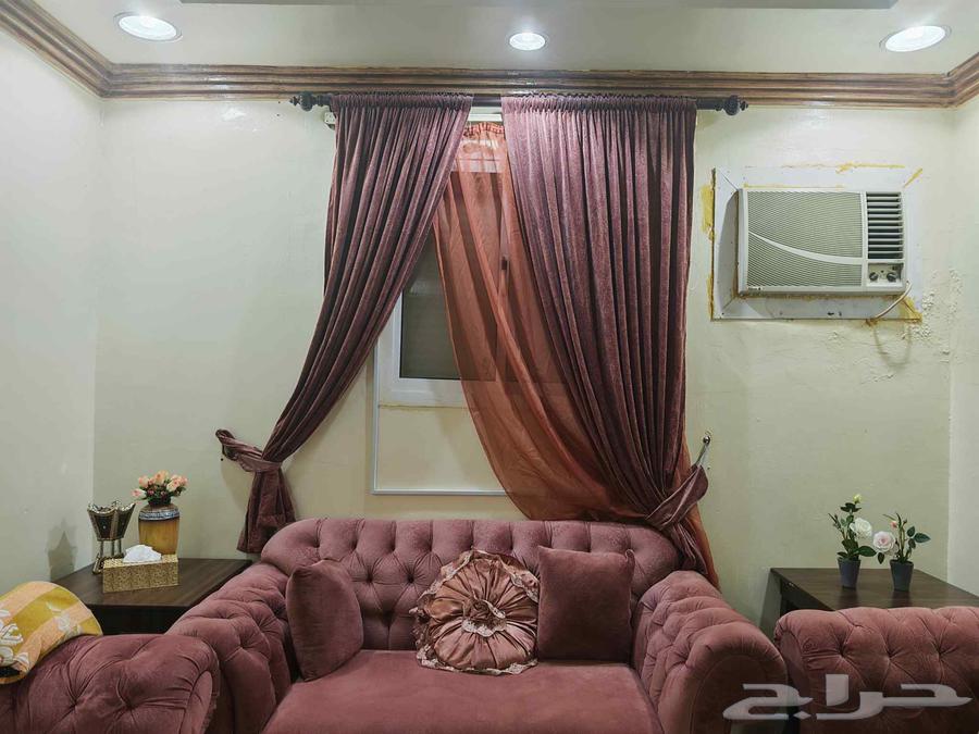 Sofa with luxurious carpet and star64569220110977112