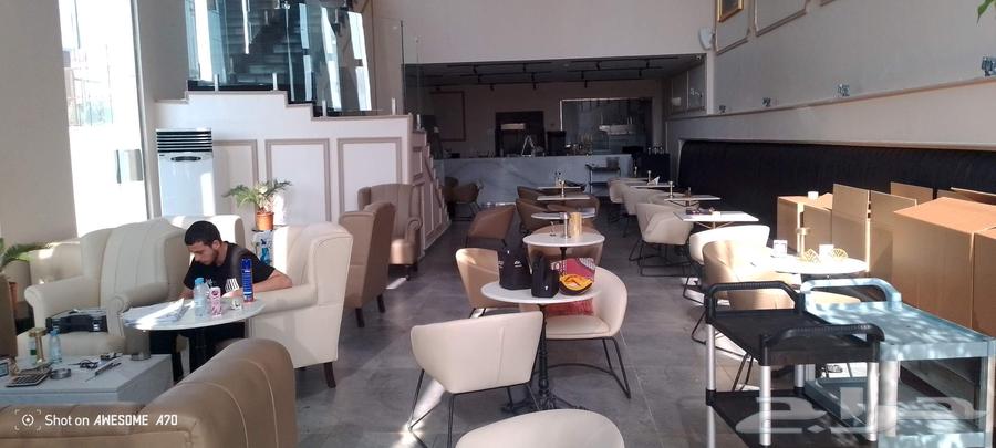 كتب و كراسي وطاولات لاونجات ومطاعم جديدة لم تستخدم64567295597570111