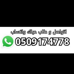 Rolex Men's Watch64565005897473111