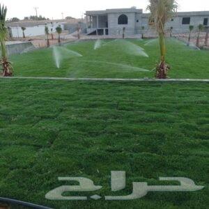 ثيل طبيعي درجه اولى C2000فرنسي64570503879426112