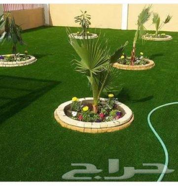 ثيل طبيعي درجه اولى C2000فرنسي64570503879426114